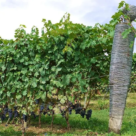 Residenza La Beccata Farma *