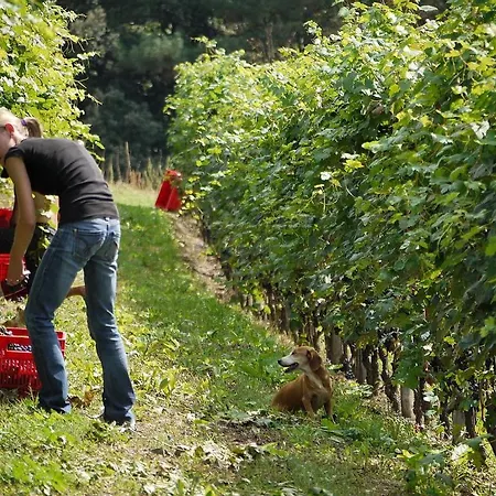 Farma Residenza La Beccata