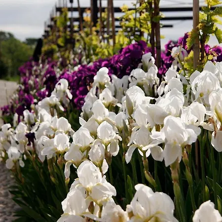 Residenza La Beccata Pinerolo